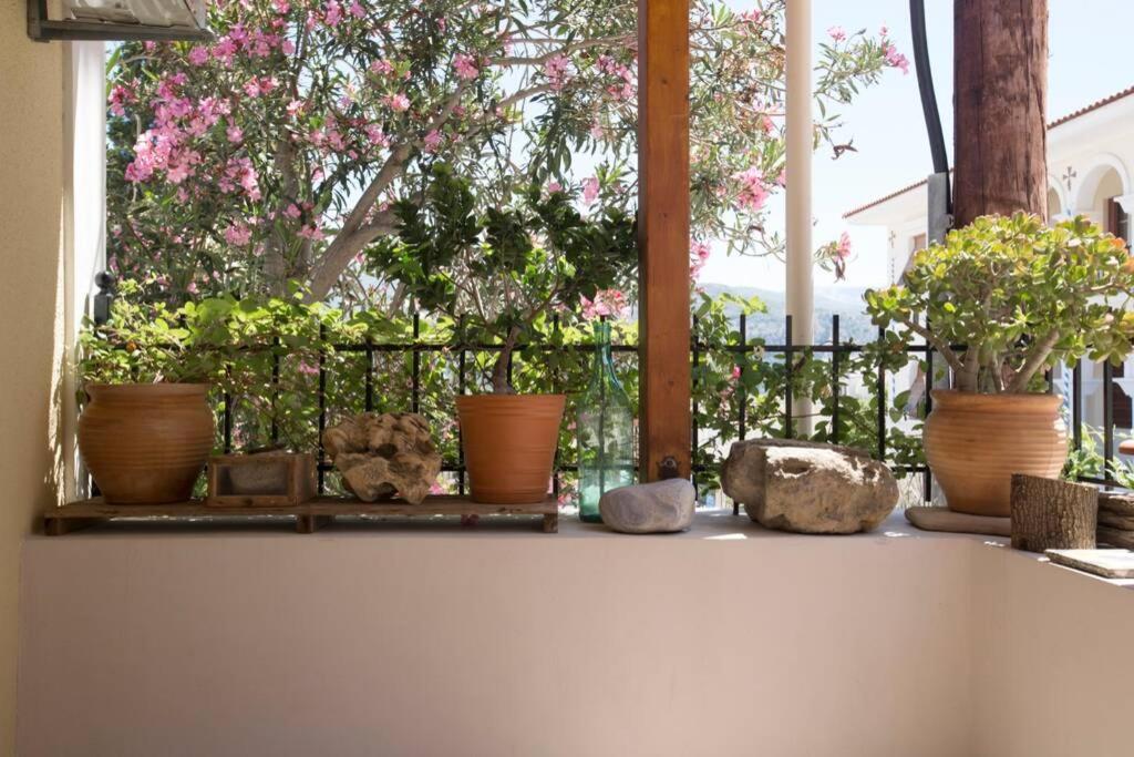 Kostas' House Argostoli别墅 外观 照片